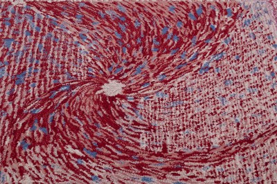 ružićasta-slika_detalj-1591620661